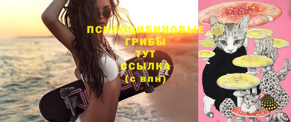 прущая мука Армянск